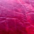 Винилискожа VINILIS 17